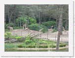 Dierentuin Burgers  Zoo 074 * 3648 x 2736 * (6.89MB)